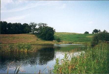 <i>Kalvemosen</i>
